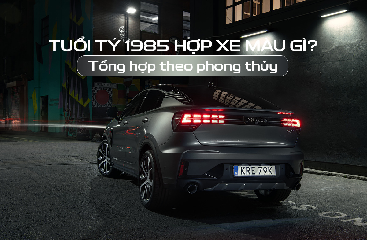 tuổi Sửu 1985 hợp xe màu gì