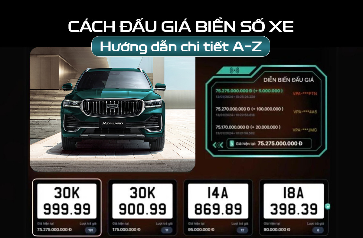 cách đấu giá biển số xe